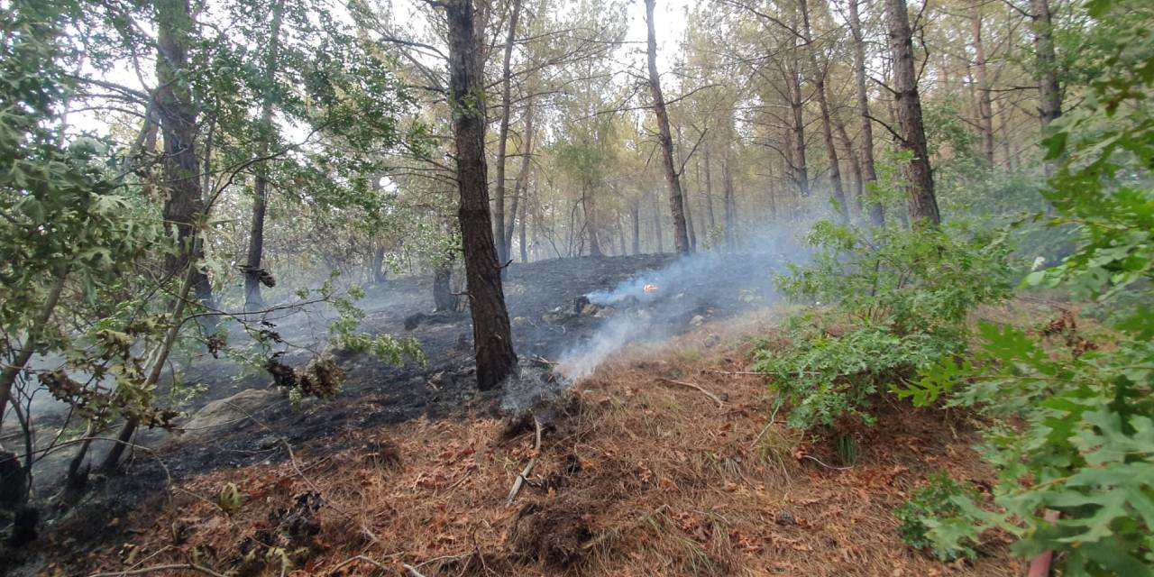 Osmaniye'de orman yangını... Rüzgarın tesiriyle büyüdü, müdahale ediliyor