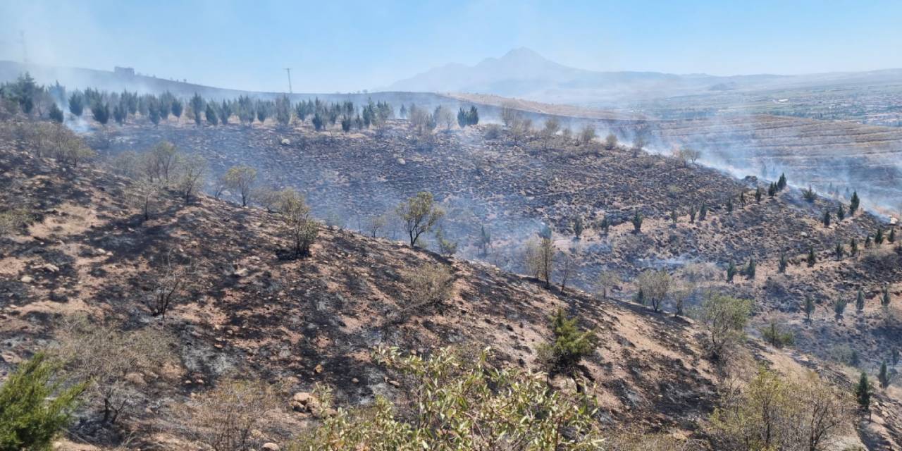 Aksaray'da Ot Yangını Ormana Sıçradı