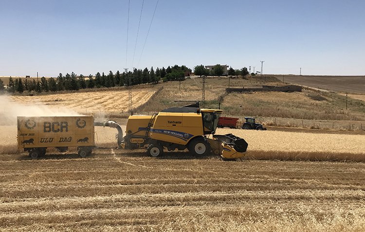 Diyarbakır'da buğday randımanı dekarda yüzde 23 arttı