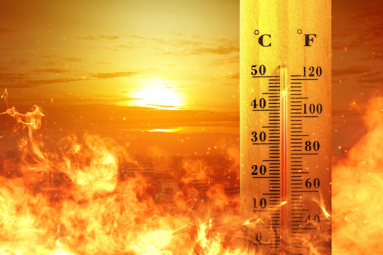 DSÖ'den 'en sıcak' temmuz sonrası iklim değişikliği için 'acil' davet