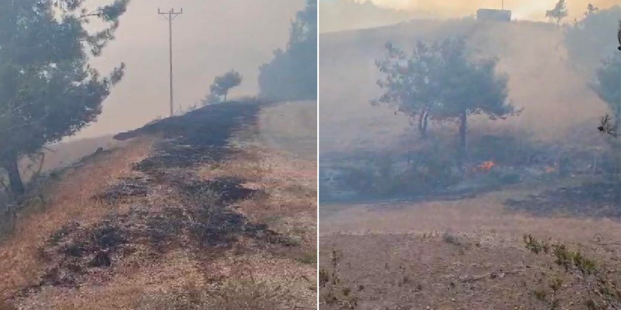 Adana'da Orman Yangını!