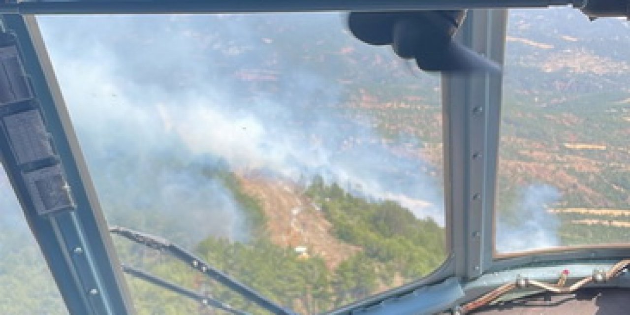 Bolu'da Orman Yangını, 26,5 Saat Sonra Denetim Altında