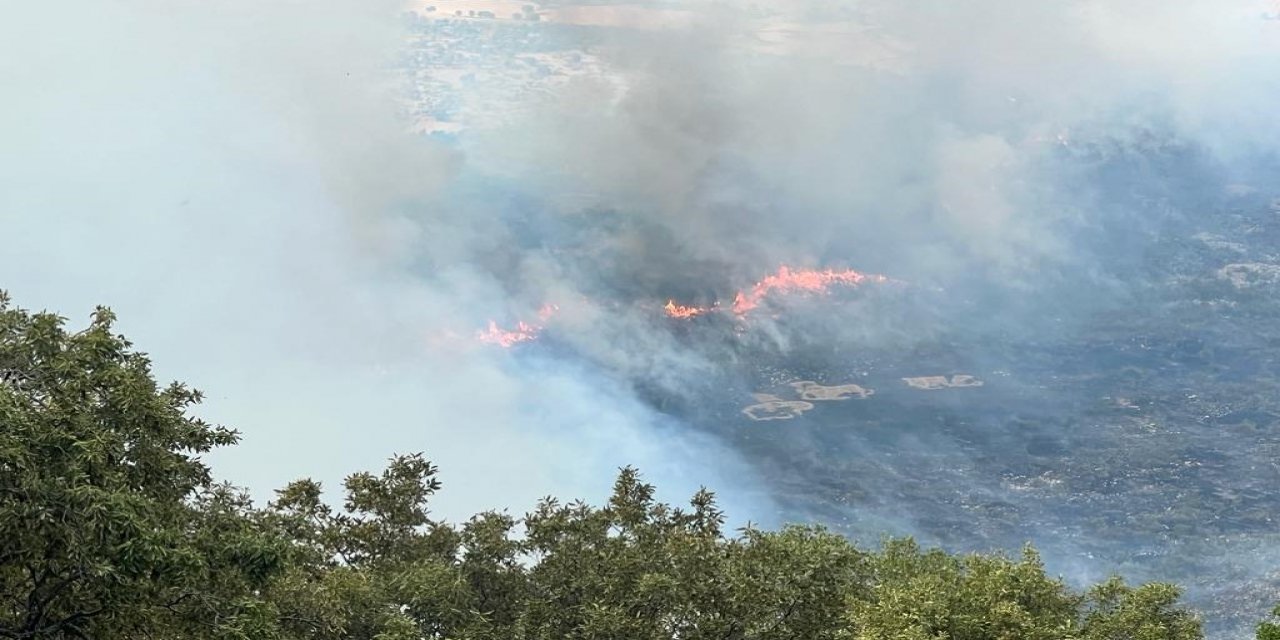Diyarbakır'daki Orman Yangını 24 Saatte Söndürüldü