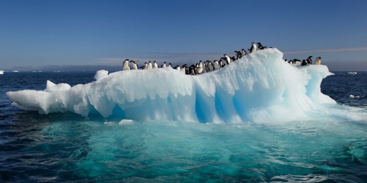 Kimi Hekimler Antarktika'ya Gitmeden Apandislerini Aldırırlar… İşte Nedeni…