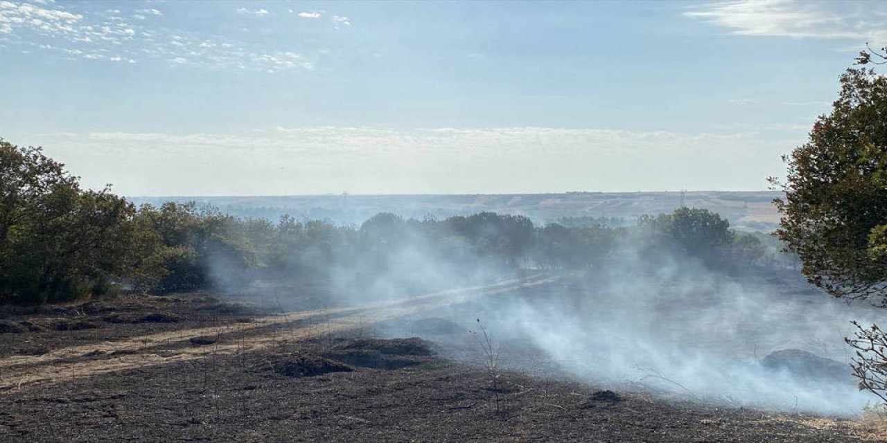 Silivri'de Orman Yangını: Kundaklama Kuşkusu Var