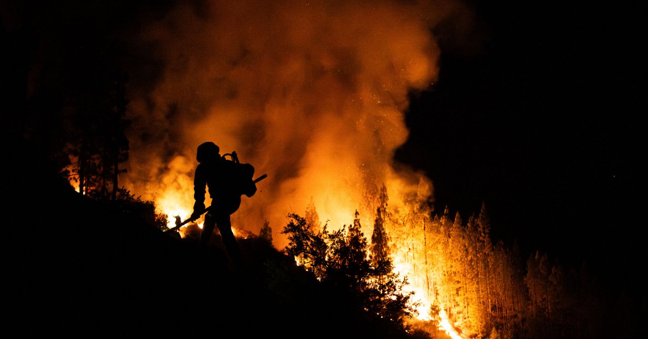Tenerife Adası'nda Orman Yangını